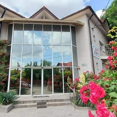 Villa Grande Iasi Exterior photo